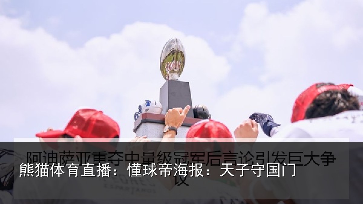 熊猫体育直播：懂球相关情况