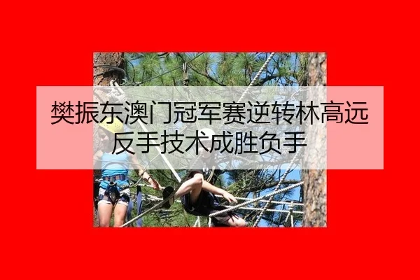 fan-zhen-dong-ao-men-guan-jun-sai-ni-zhuan-lin-gao-yuan-fan-shou-ji-shu-cheng-sheng-fu-shou-3-386.jpg